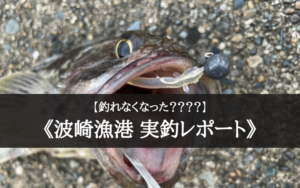 【2021年】波崎新漁港が全然釣れない？→そんなことはなかった件【爆釣】